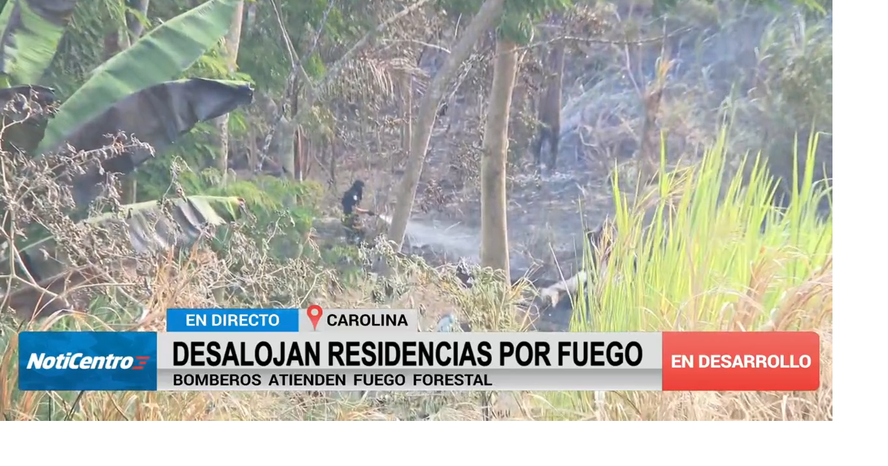 Incendio forestal en barrio Barrazas de Carolina provoca desalojo de familias