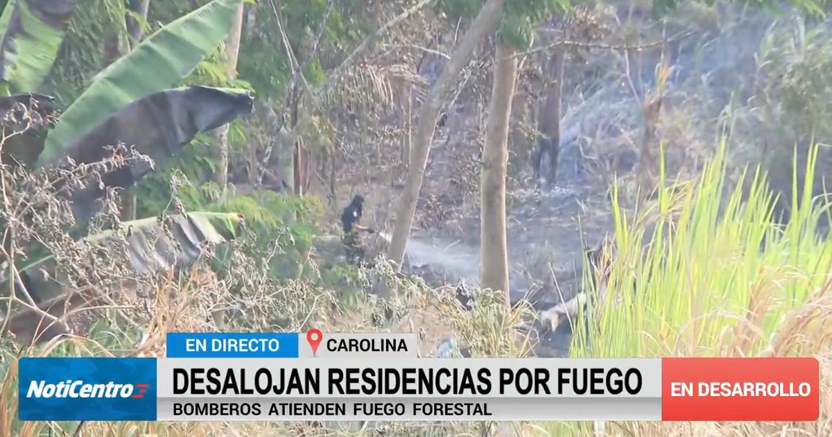 Incendio forestal en barrio Barrazas de Carolina provoca desalojo de familias