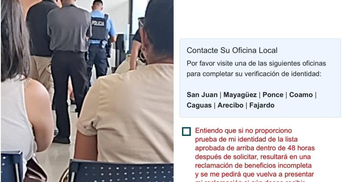 Ciudadanos denuncian fallas y confusión con nueva plataforma Desempleo Digital del DTRH