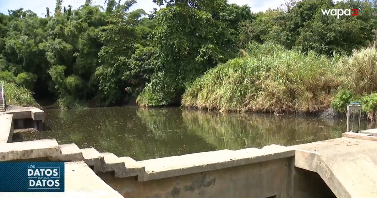 Investigan presencia de bacterias E. coli y coliformes en planta de agua de Canóvanas