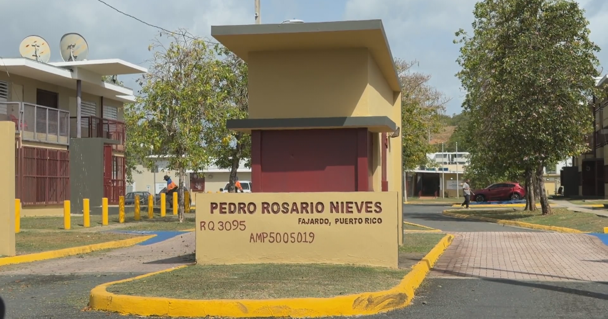 Adolescente de 15 años herido de bala en la oreja en residencial de Fajardo