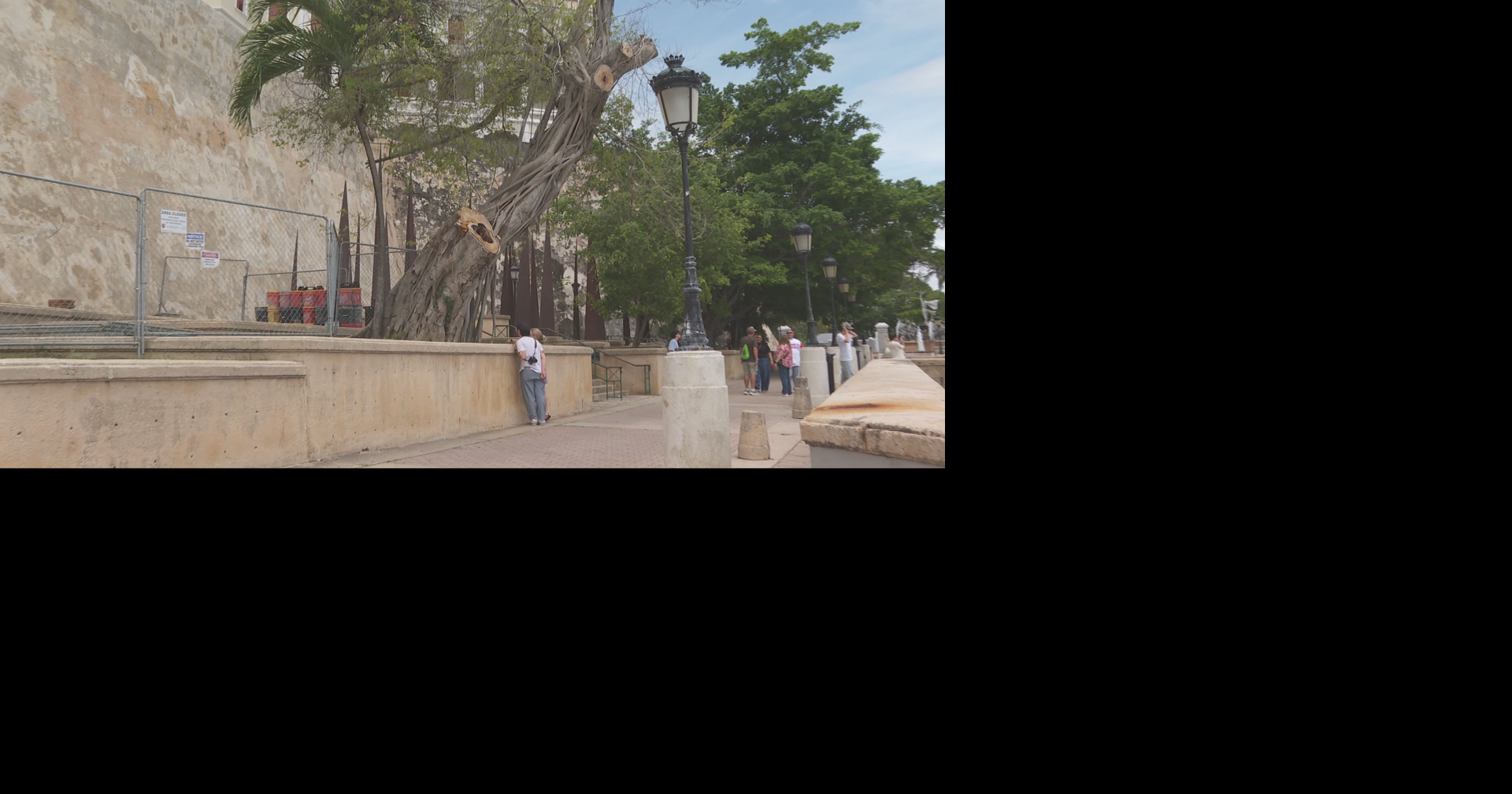 Más de 50 árboles podrían ser talados en Viejo San Juan