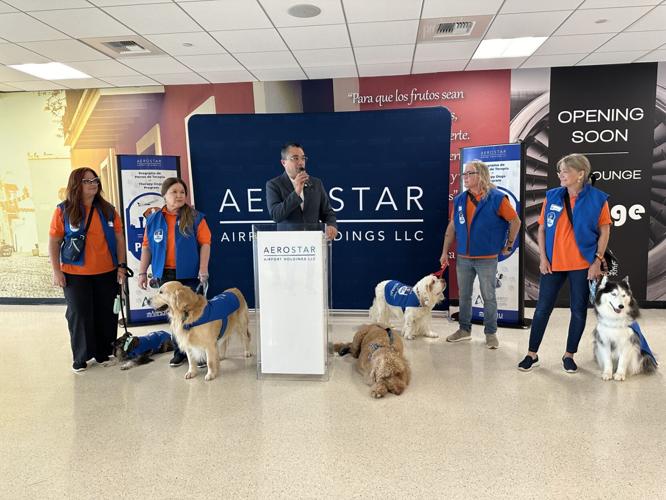 se permiten perros en el aeropuerto de seatac