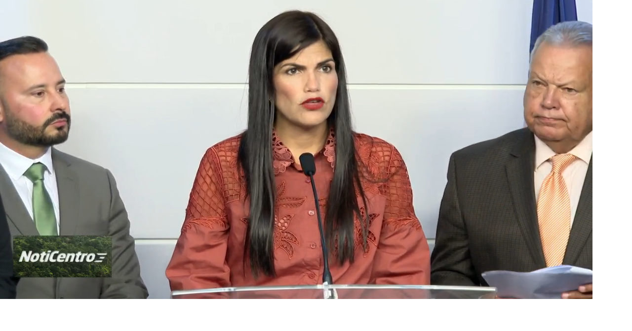 PPD denuncia que el gobierno abandonó el plan de reestablecimiento de luminarias