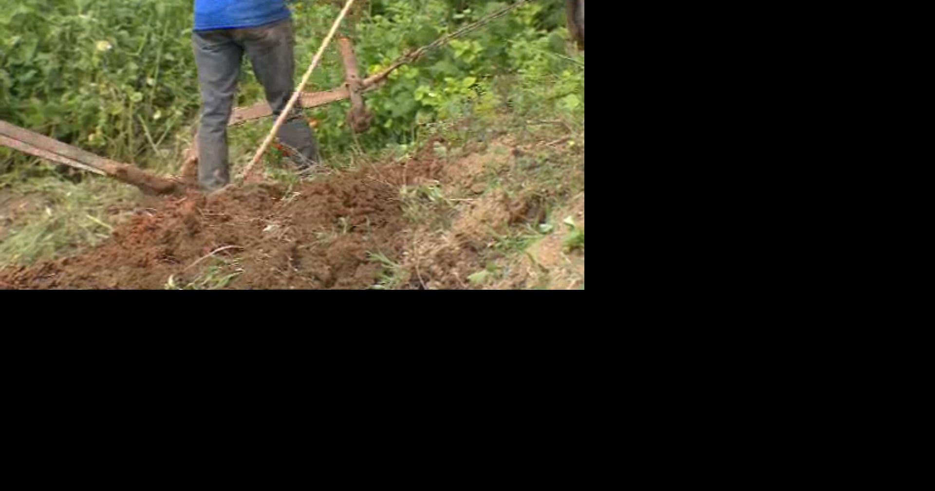 Secretario exhorta a agricultores a registrarse en USDA para acceder a ayudas por sequía