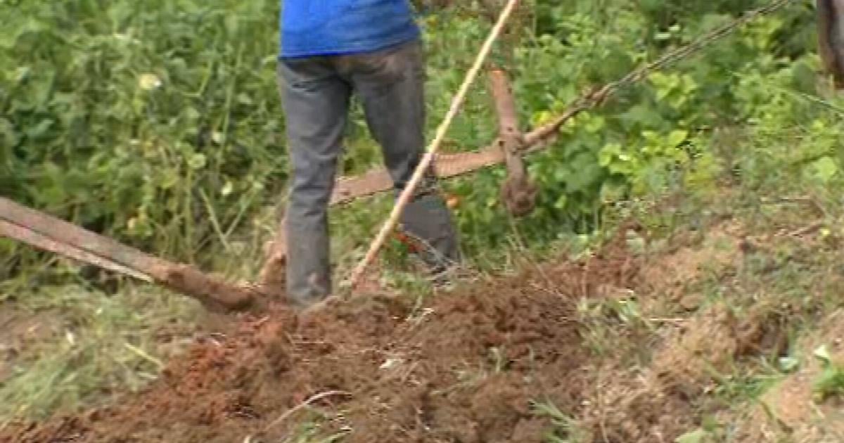 Secretario exhorta a agricultores a registrarse en USDA para acceder a ayudas por sequía