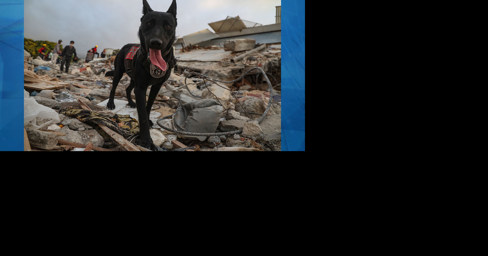 Policía de Puerto Rico explica las destrezas de sus perros rescatistas