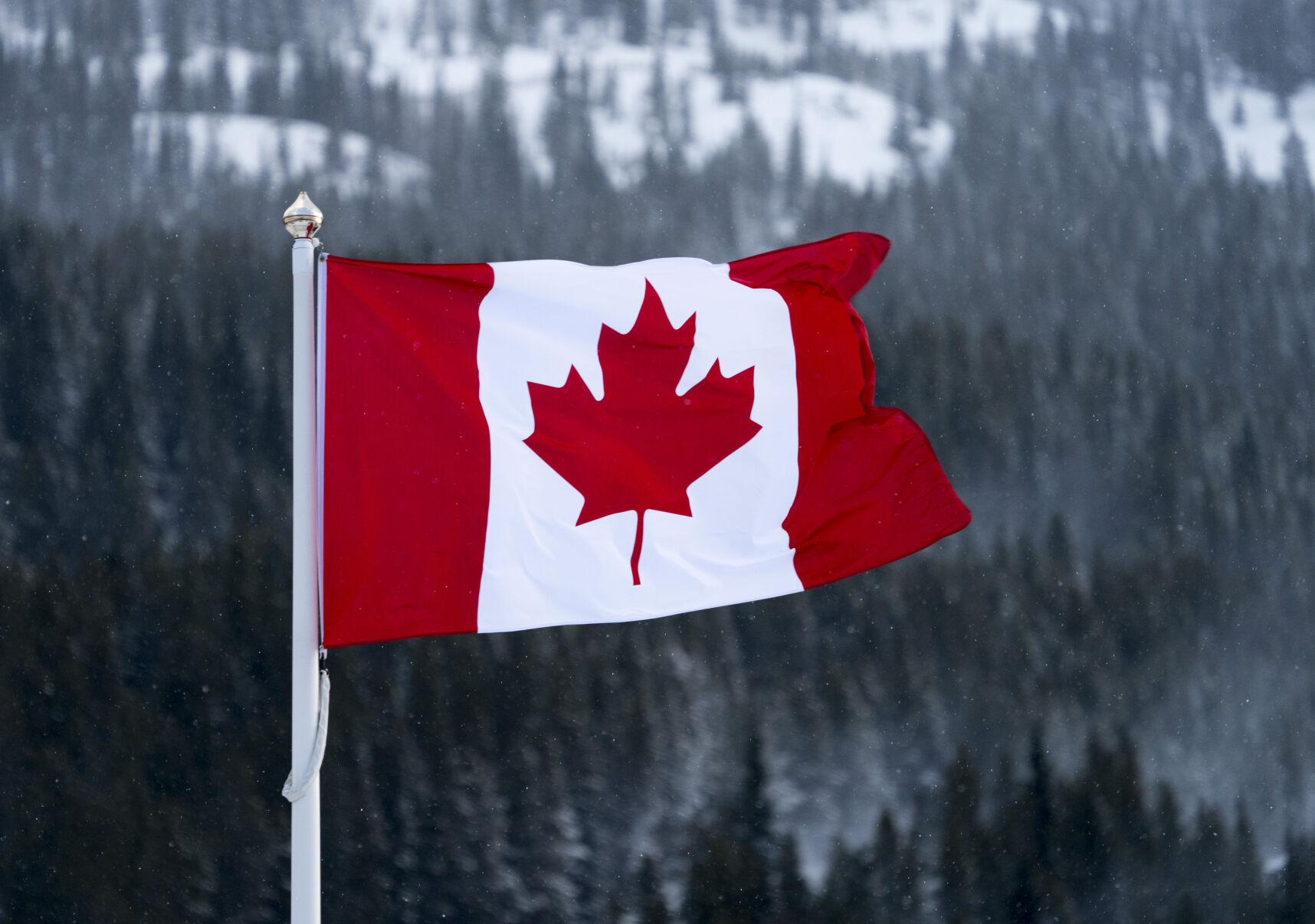 Cientos de canadienses reciben tarjetas regalo de un Pap Noel