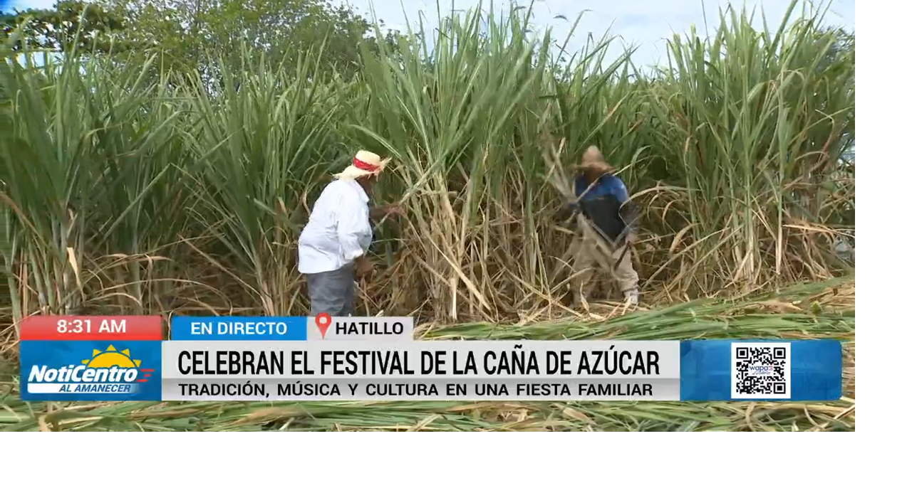Celebran el Festival de la Caña de Azúcar en Hatillo