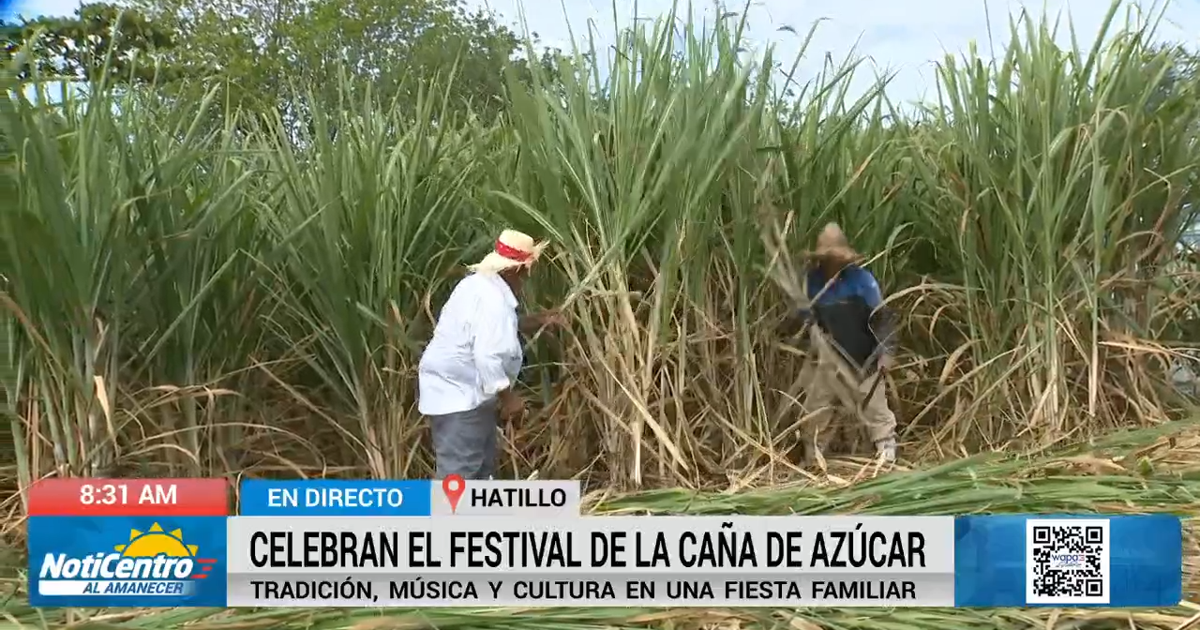 Celebran el Festival de la Caña de Azúcar en Hatillo