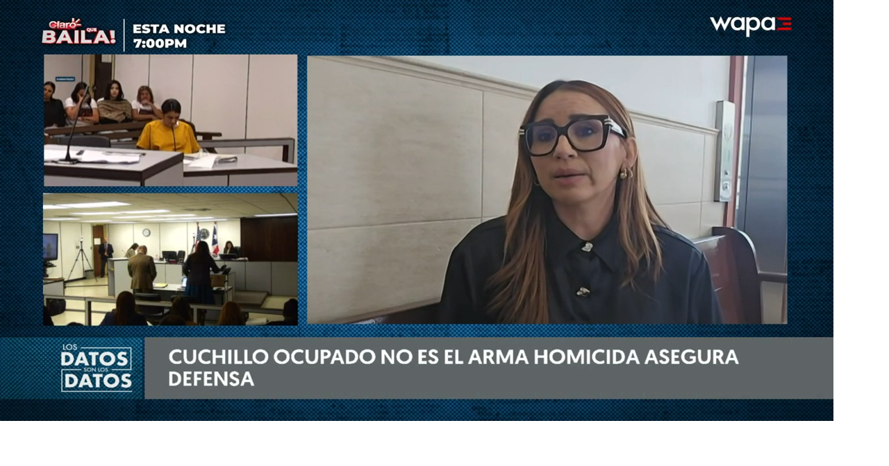 Debate por cuchillo como evidencia domina séptimo día del juicio contra Elvia Cabrera en Aibonito