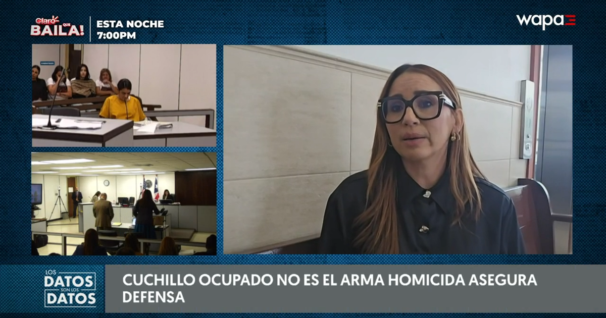 Debate por cuchillo como evidencia domina séptimo día del juicio contra Elvia Cabrera en Aibonito