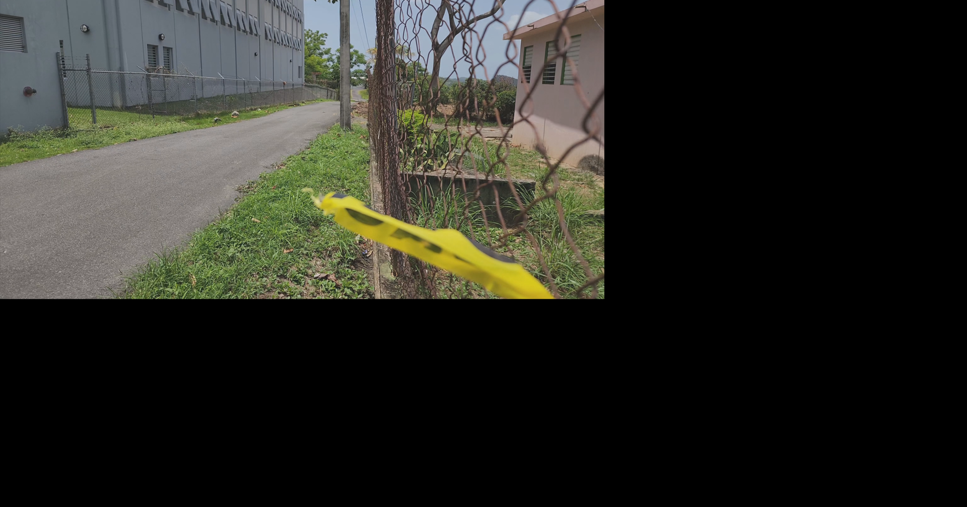 Identifican a hombre que murió tras ser atacado por enjambre de abejas en Toa Alta