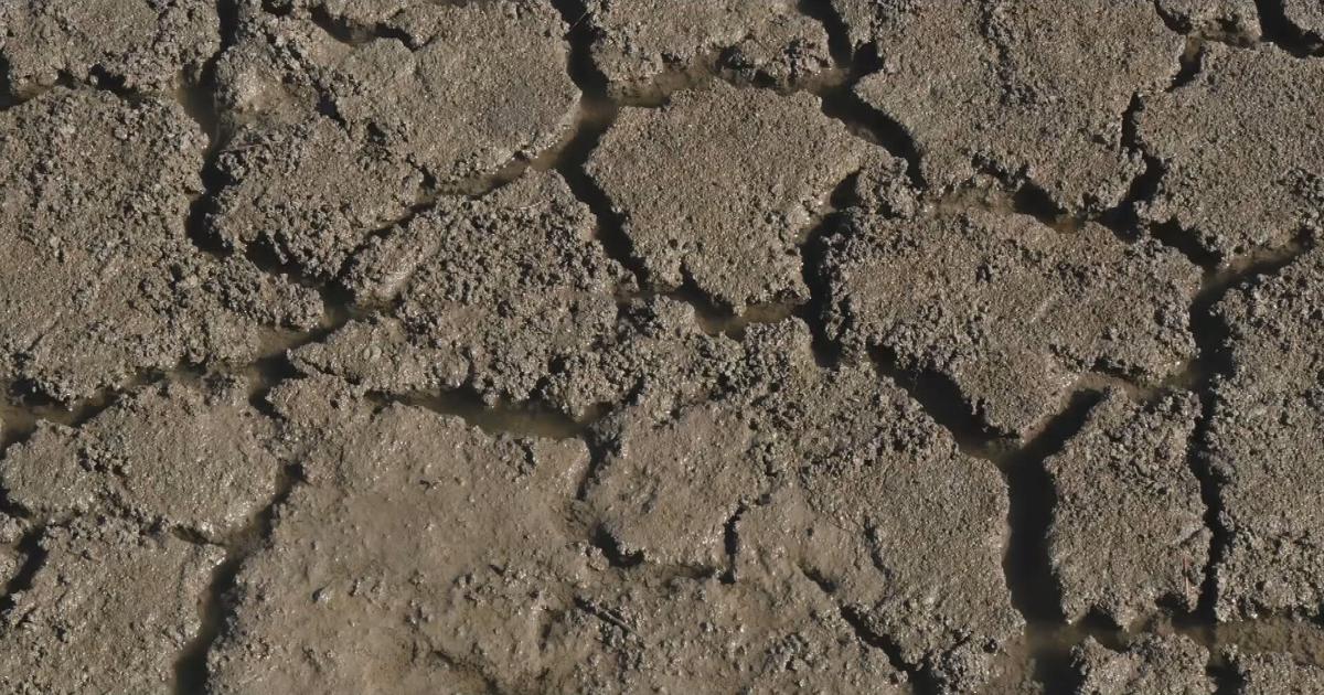 Sequía pone en riesgo de racionamiento a seis municipios de Puerto Rico