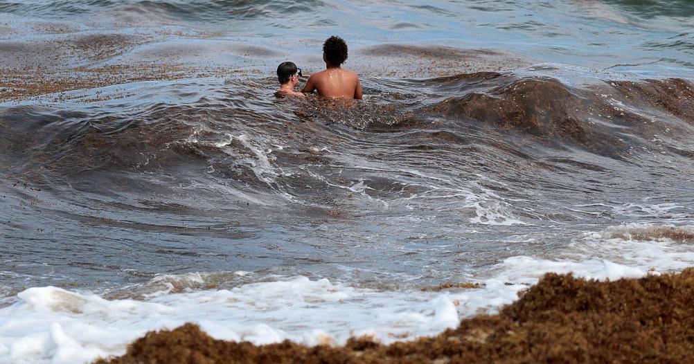 Científicos advierten aceleración del calentamiento global; umbral de 1.5 °C se alcanzaría en 2030