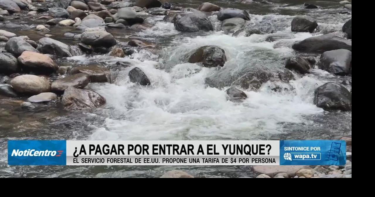 Comisionado residente busca frenar posible tarifa de entrada al Yunque
