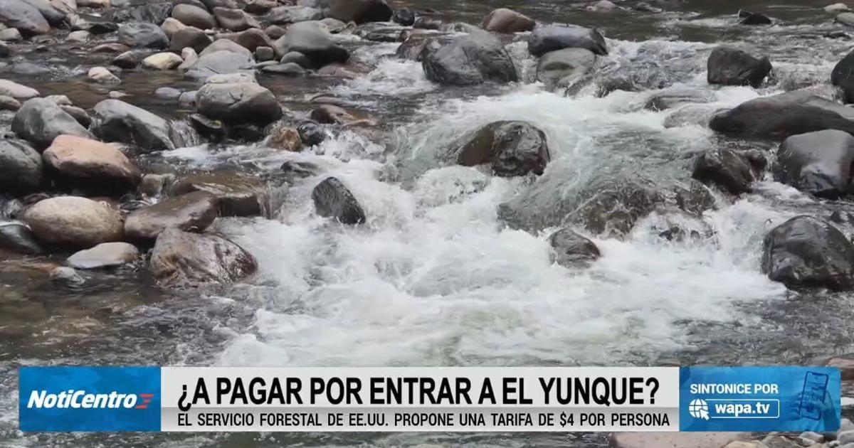 Comisionado residente busca frenar posible tarifa de entrada al Yunque
