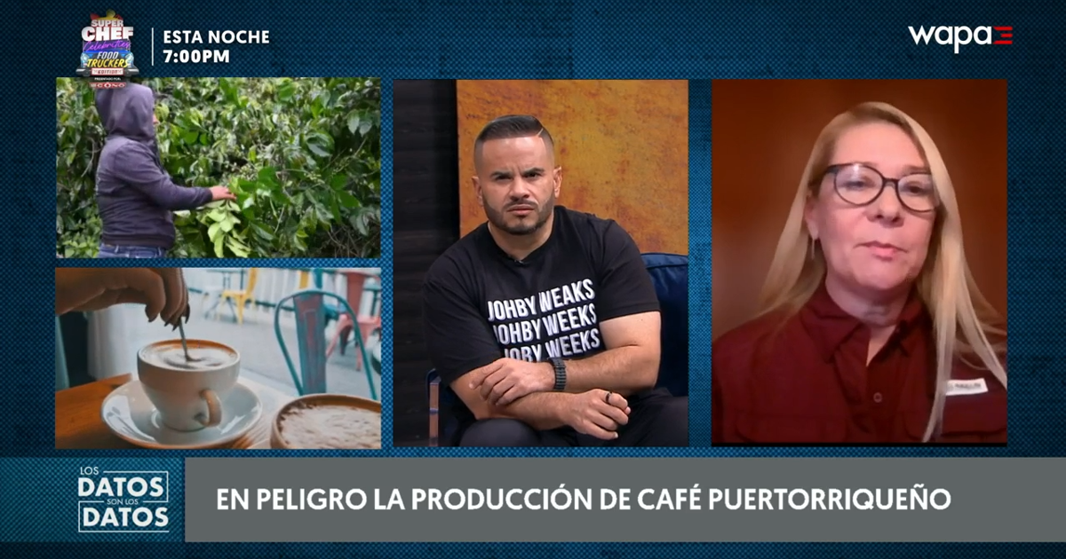 Caficultores alertan pérdida de cosecha si DACO no ajusta precio del café de $18 a $23