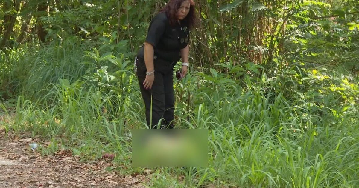 Investigan si cuerpo atado y baleado hallado en Trujillo Alto fue abandonado allí