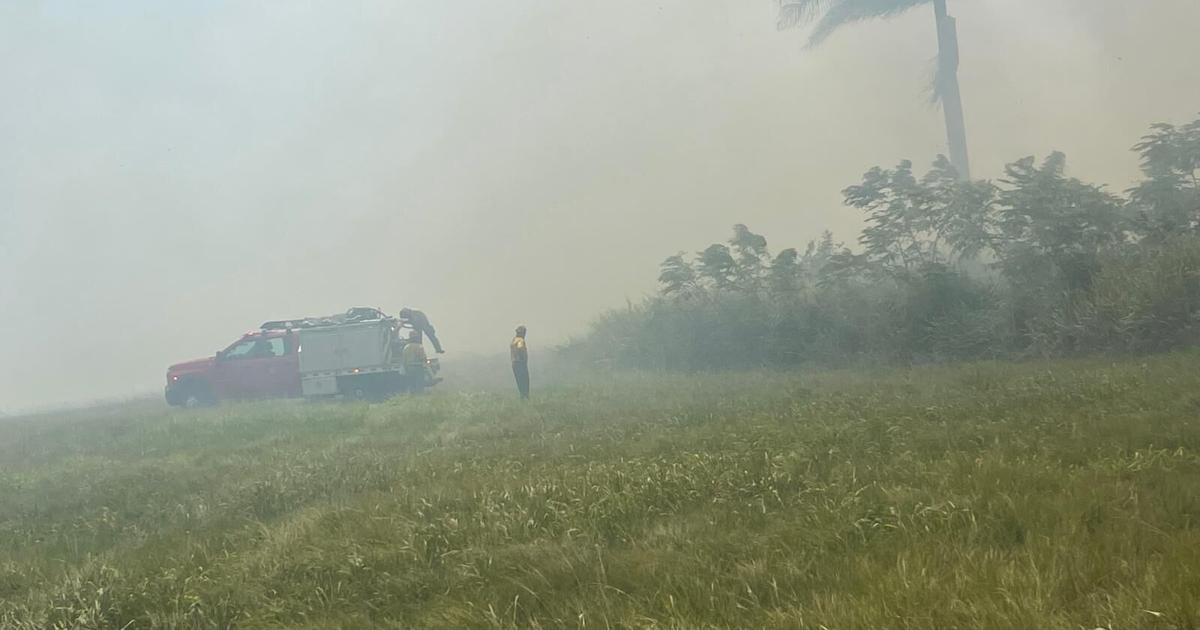 Bomberos y agencias municipales combaten incendio forestal en Arecibo