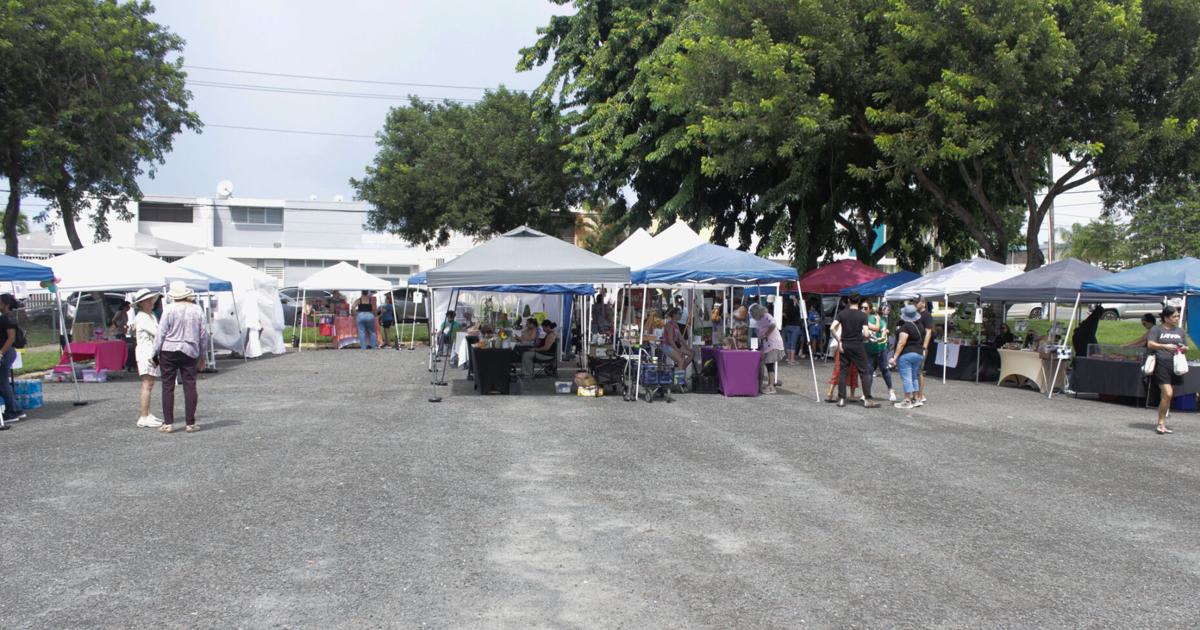 Comunidad Rio Comunidad Río Bayamón celebra la creación y éxito del “Mercado del Río ...