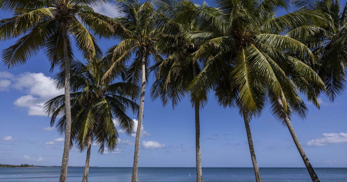 Octogenario muere ahogado tras ser arrastrado por la corriente en playa de Toa Baja