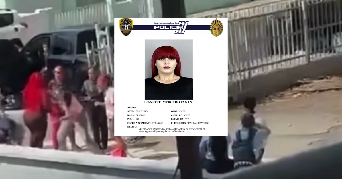 Radican cargos a madre que agredió a dos estudiantes en escuela de Guaynabo