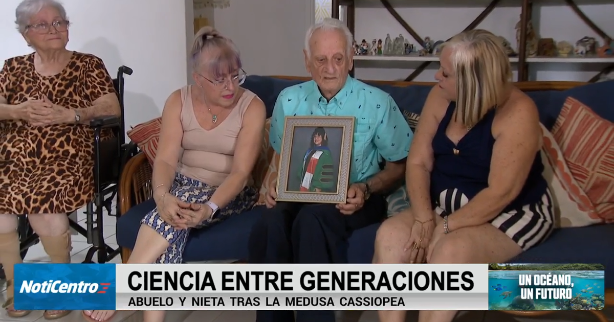 Nieta y abuelo puertorriqueños realizan primer estudio mundial a largo plazo sobre medusa Cassiopea
