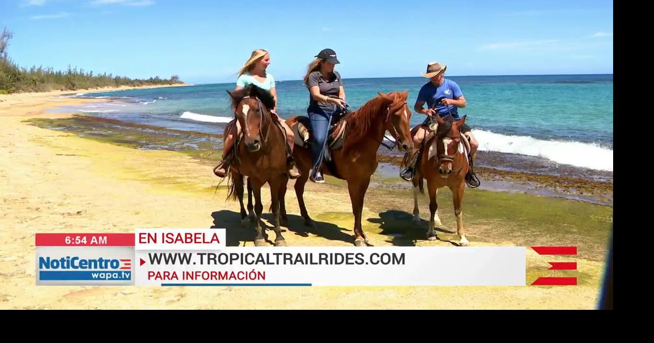 Tropical Trail Rides: empresa familiar da tours en caballo por las ...