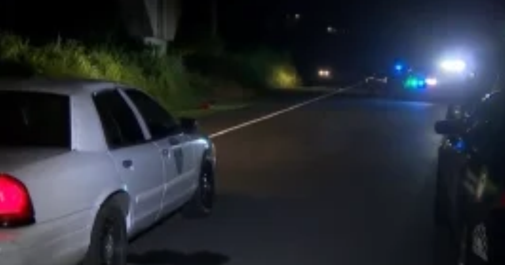 Hallan hombre baleado en la cabeza en área verde de Vega Alta