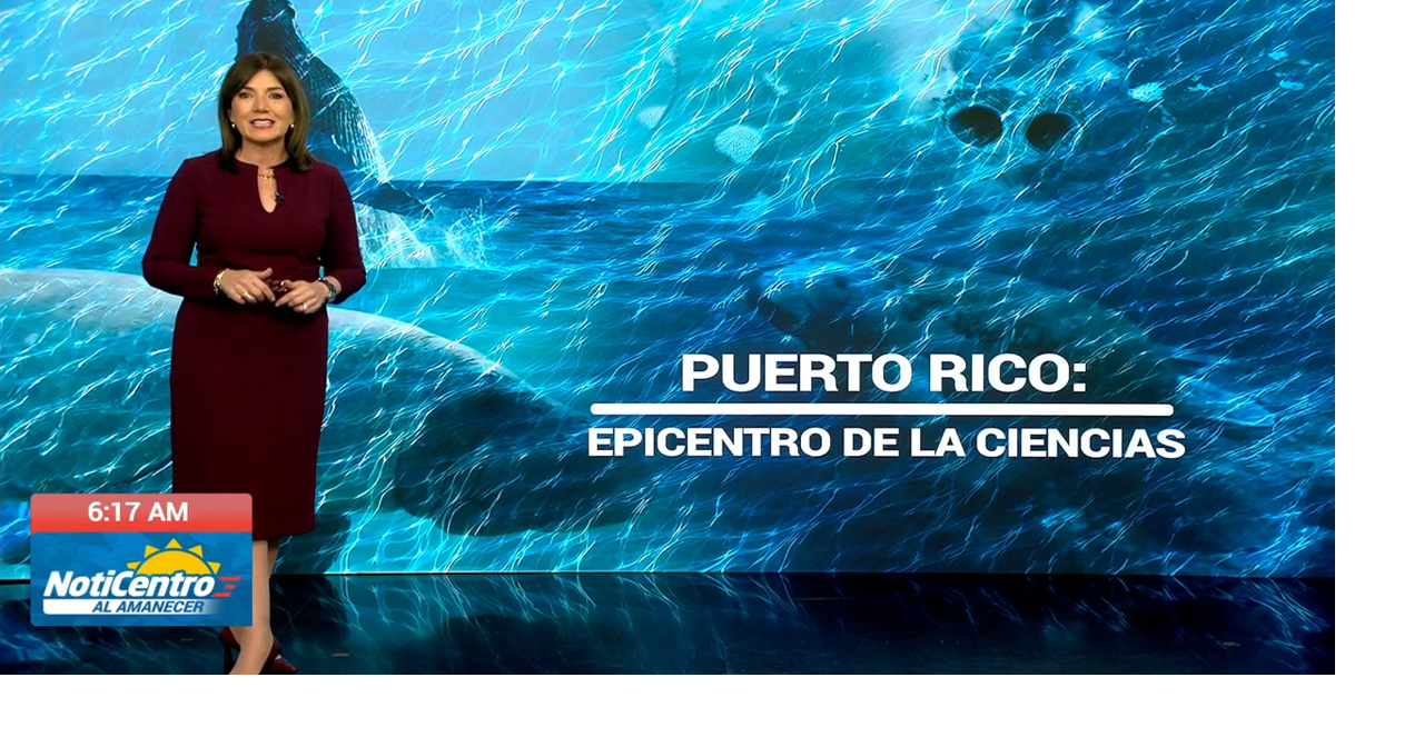 Puerto Rico acogerá conferencia mundial sobre biología de mamíferos marinos en 2026