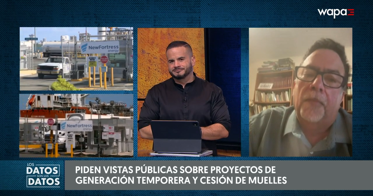 PIP pide investigar plan de Gotham Energy para el muelle de San Juan