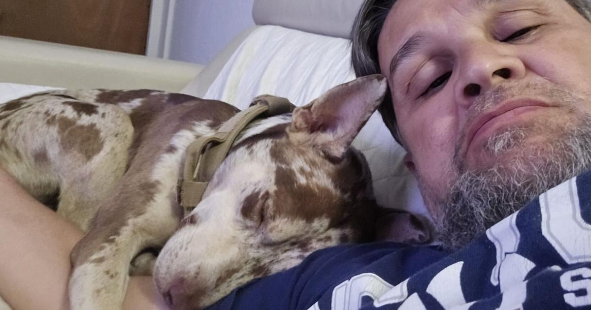 Secretario del DRNA informa de personas interesadas en asumir el cuidado de Pistacho
