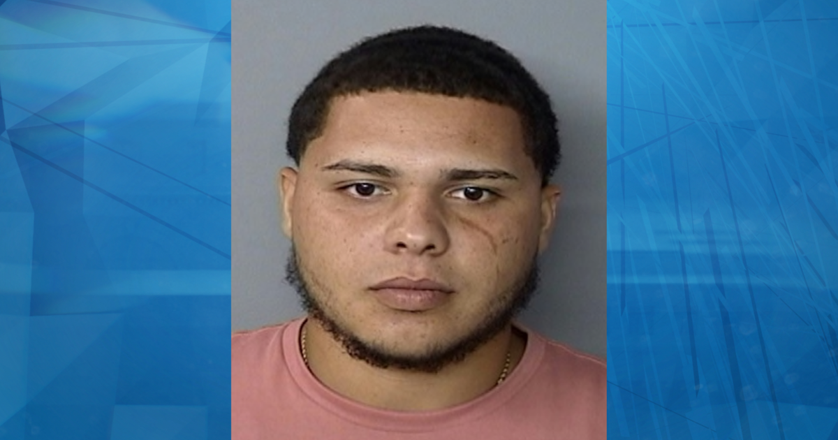Joven de 22 años muere en balacera en Mayagüez; septuagenario herido y equino también muere