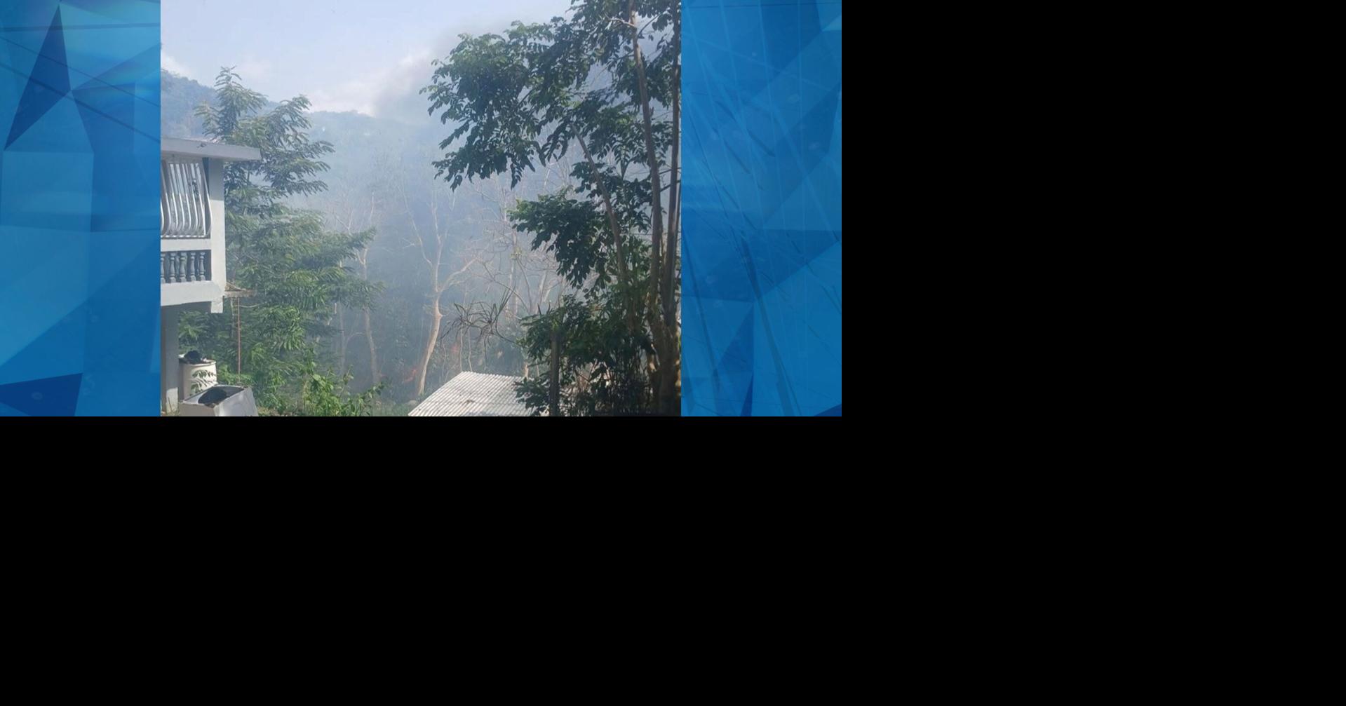 Bomberos trabajan para extinguir fuego forestal en Carolina