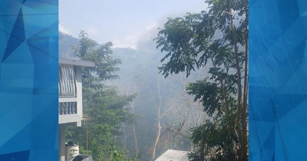 Bomberos trabajan para extinguir fuego forestal en Carolina