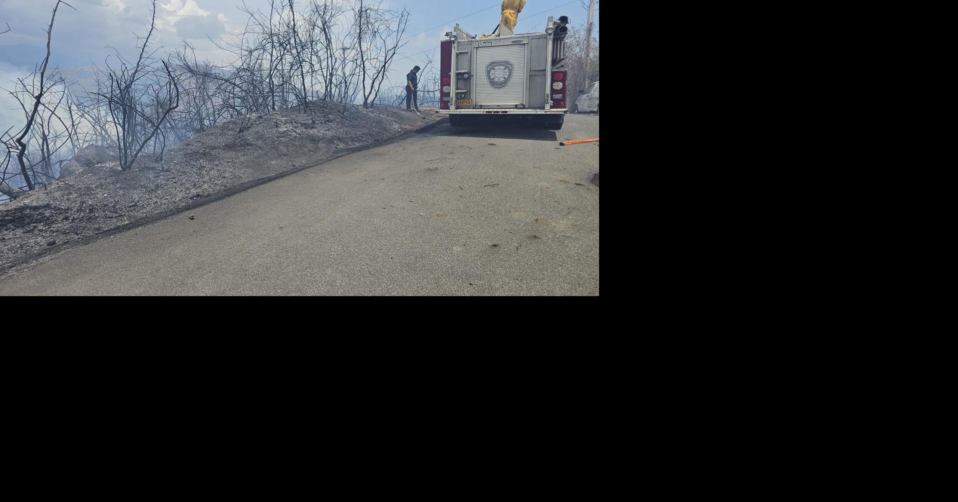 Incendio forestal en sector Amil de Yauco está bajo control