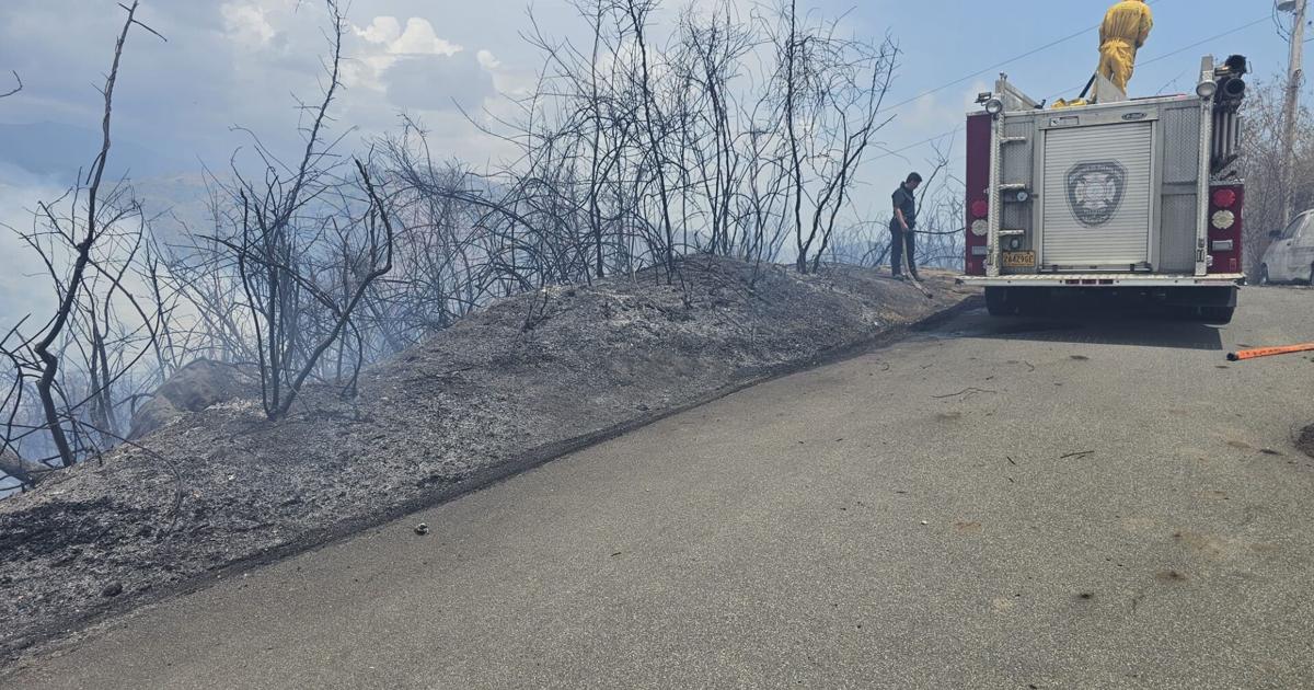 Incendio forestal en sector Amil de Yauco está bajo control