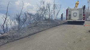 Imagen del artículo de WAPA: Atienden incendio forestal reportado en Yauco
