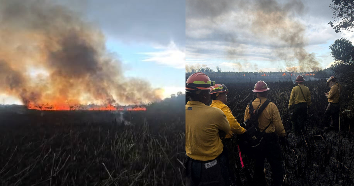 Reportan incendio forestal en Vega Baja; bomberos intentan extinguirlo