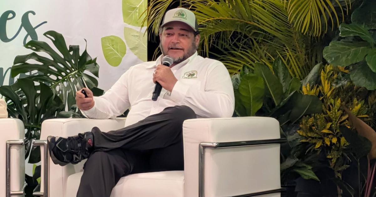 Coccoloba exige a Suzanne Roig rectificar: opúsculo "no equivale" a propuesta