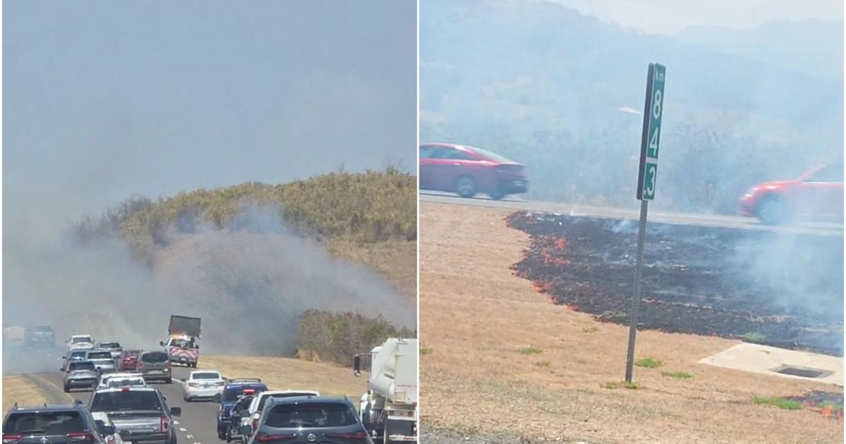 Cierran expreso 52 en Juana Díaz por incendio forestal que afecta visibilidad