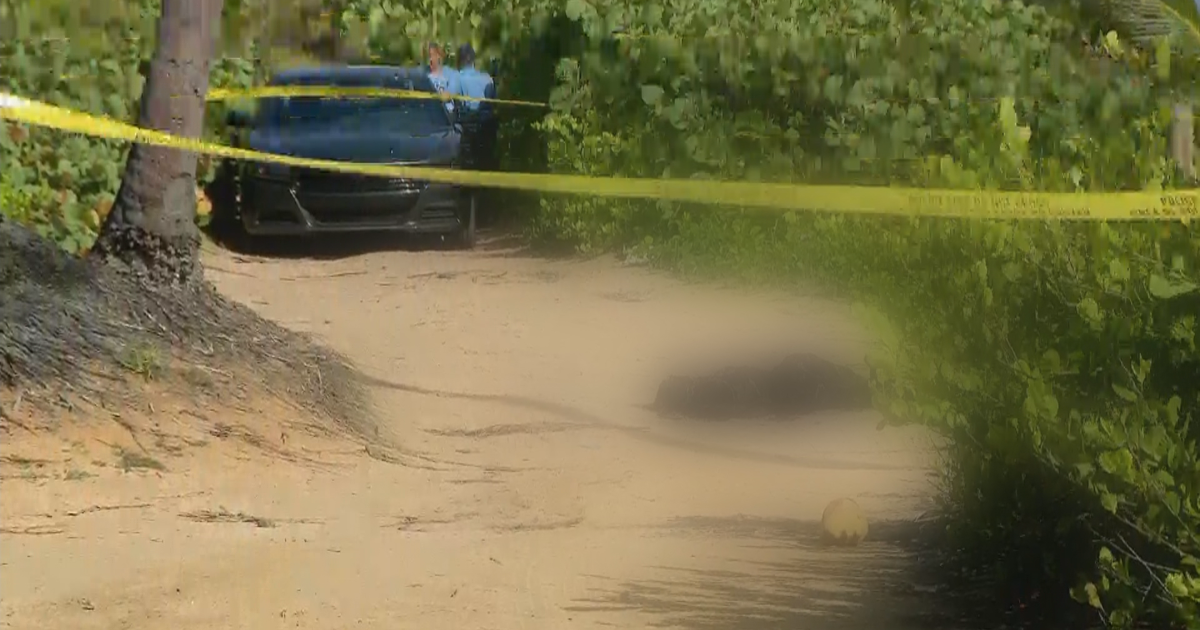 Investigan hallazgo del cuerpo de un hombre calcinado en playa de Loíza