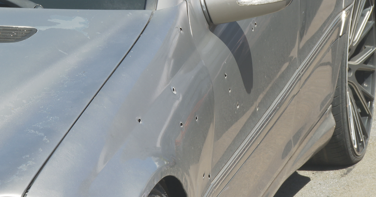 Balean a hombre en carretera PR-2 de Arecibo; su perro muere en el lugar