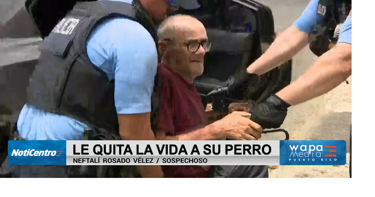 Identifican a hombre de 60 años acusado de matar a su perro a golpes en Bayamón