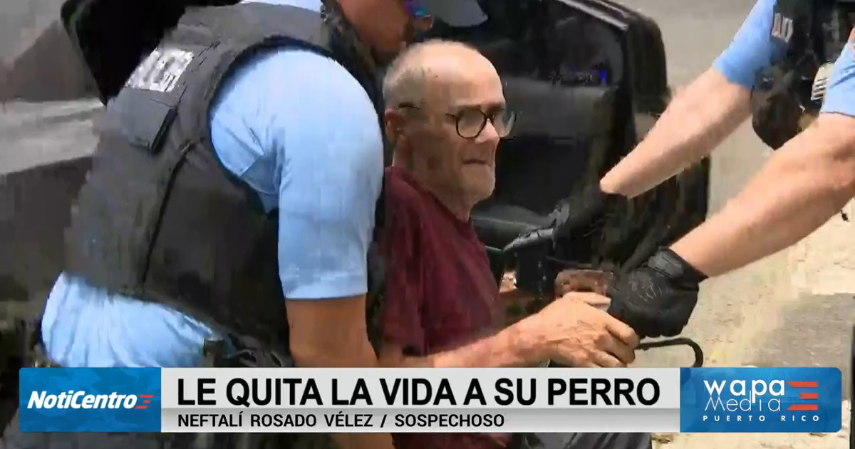 Identifican a hombre de 60 años acusado de matar a su perro a golpes en Bayamón