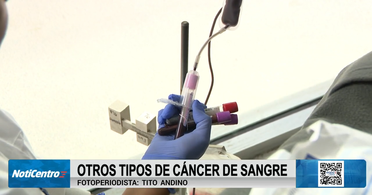 Síndromes mielodisplásicos: un cáncer en la sangre que afecta mayormente a mayores de 60 años