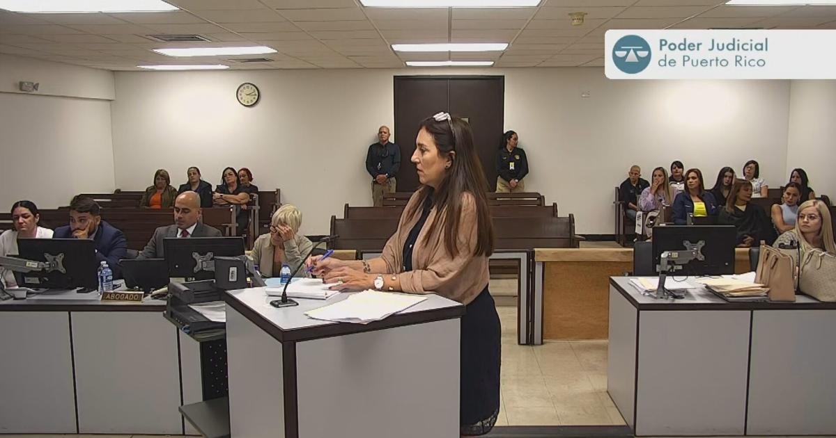 Hermana de Gabriela Nicole testifica que vio a Elvia Cabrera entregar algo a su hija antes del crimen