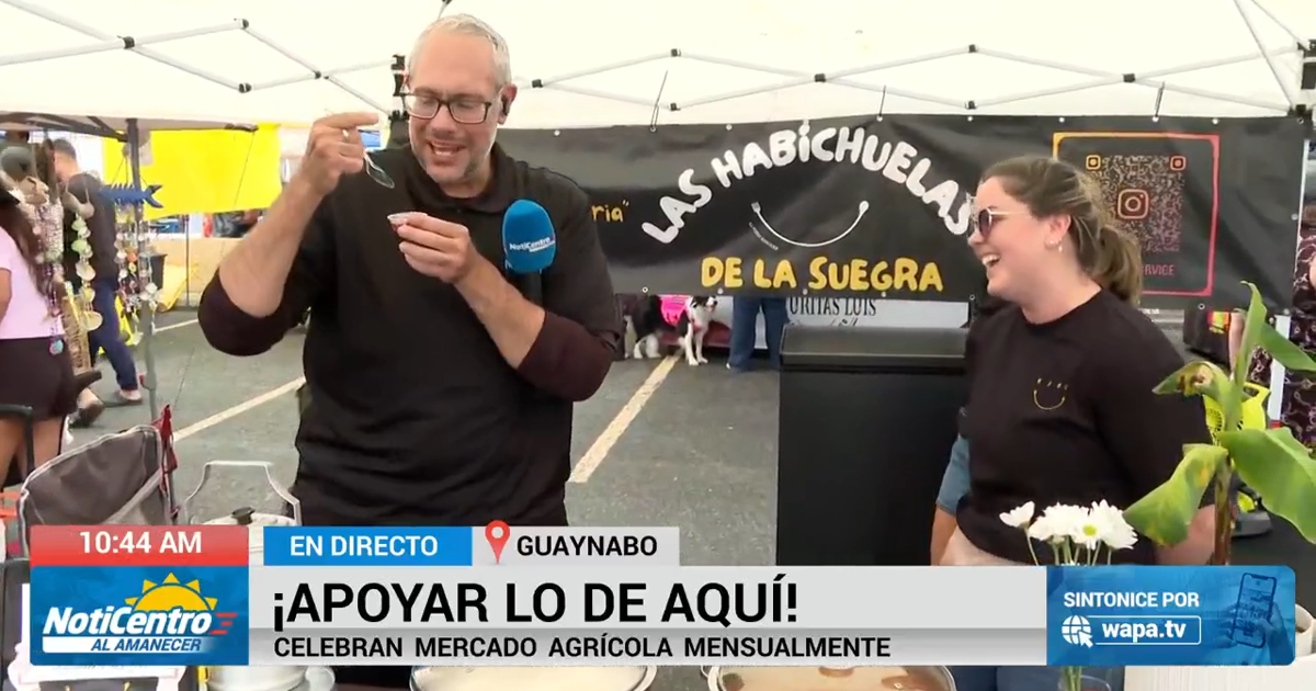 La Marina Farmer's Market en Guaynabo: comida criolla, plantas y artesanías cada mes