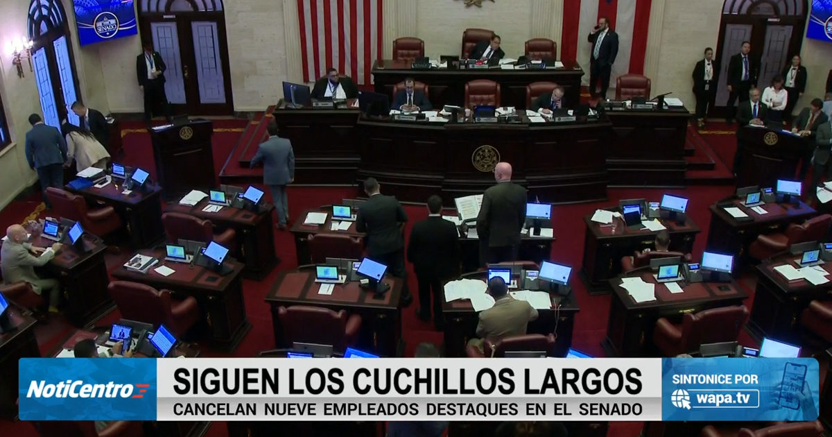 Senadores acusan a Domenech tras cancelación de destaques; González defiende la medida